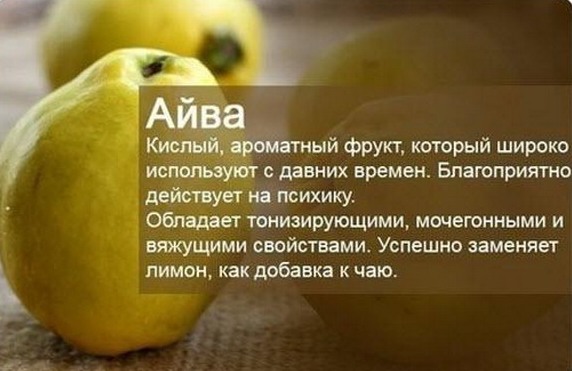 айва.jpg