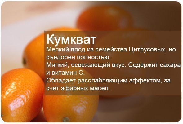 кумкват.jpg