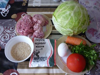 golubez1.JPG