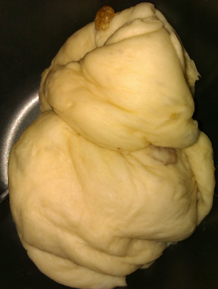 IMAG0387.jpg