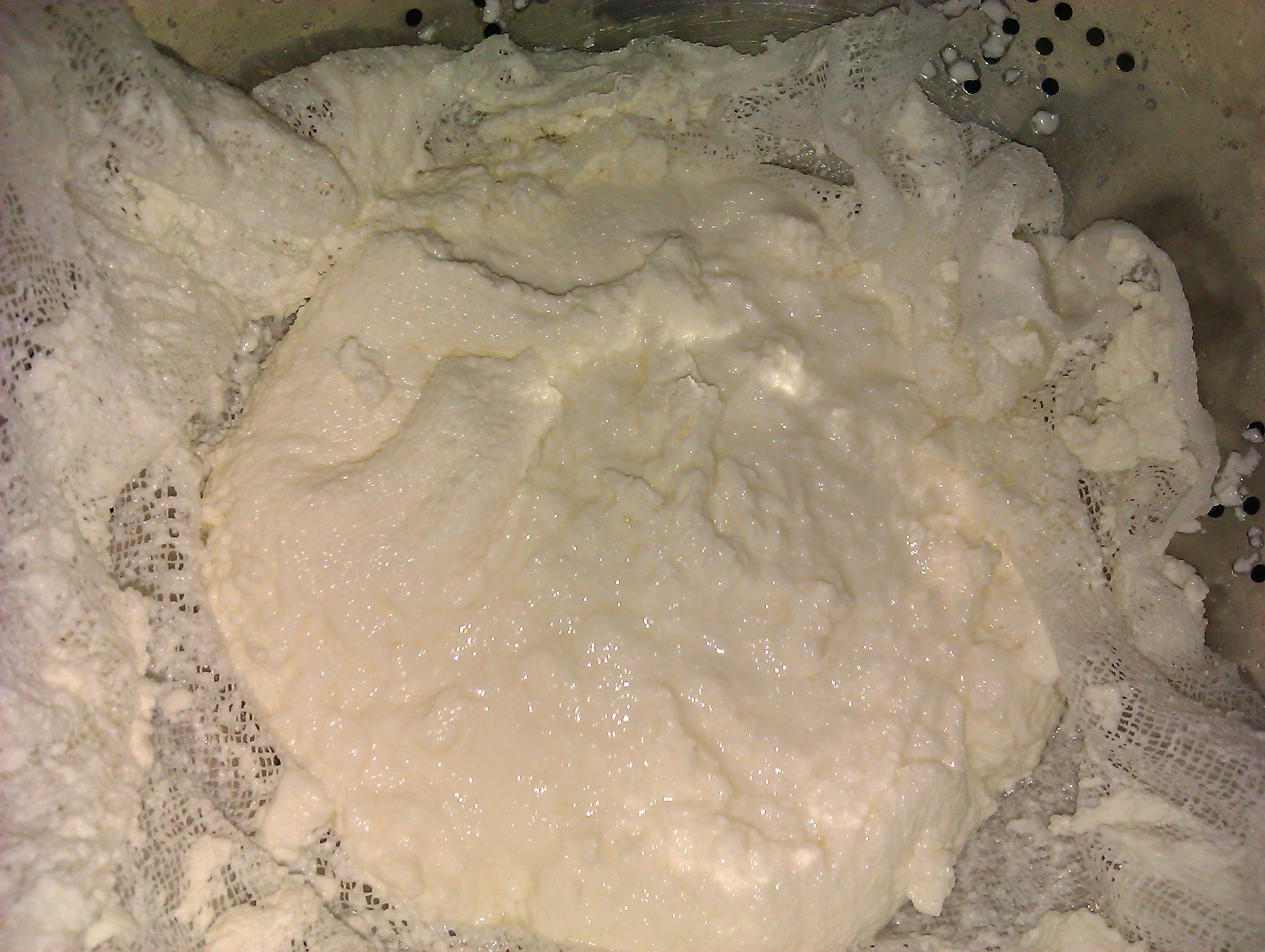IMAG0472.jpg