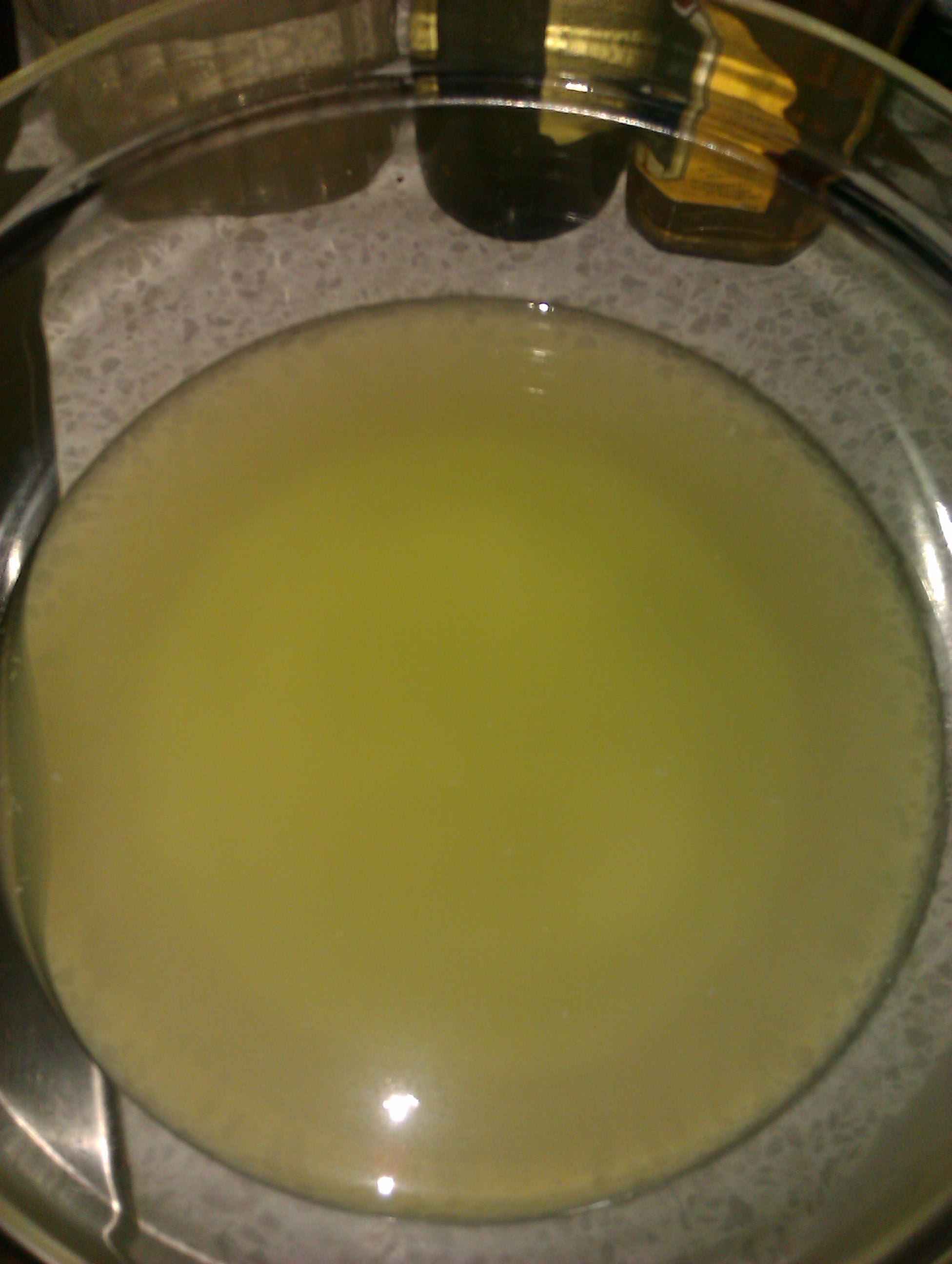 IMAG0478.jpg