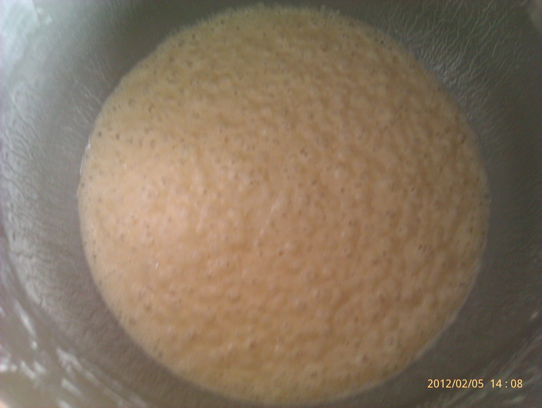 IMAG0654.jpg