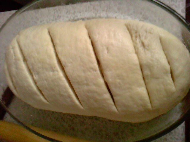 IMG0005A.jpg